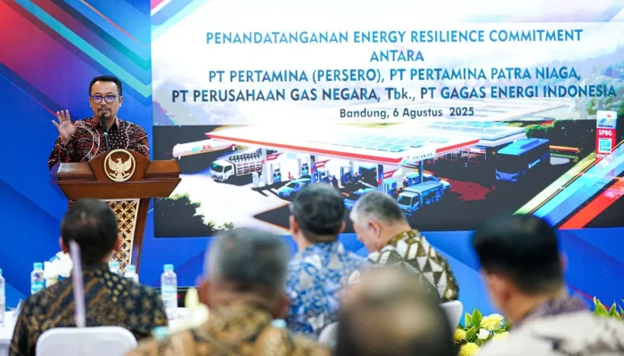 Pemerintah Incar CNG sebagai Alternatif LPG, Apa Kelebihannya?
