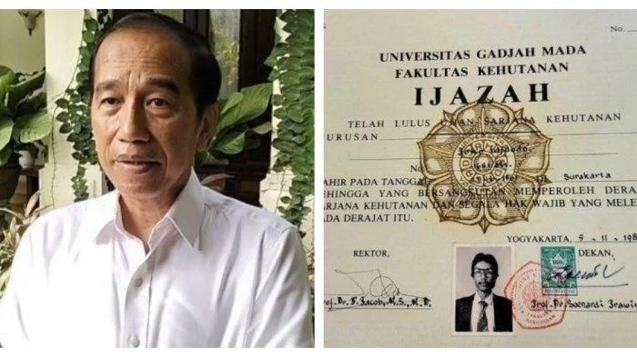 Penggugat Jokowi: Sosok Sigit Pratomo dan Kasus Ijazah Presiden