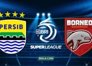 Persib dan Borneo FC Siap Jadi Wakil Indonesia di Kompetisi Asia Musim Depan