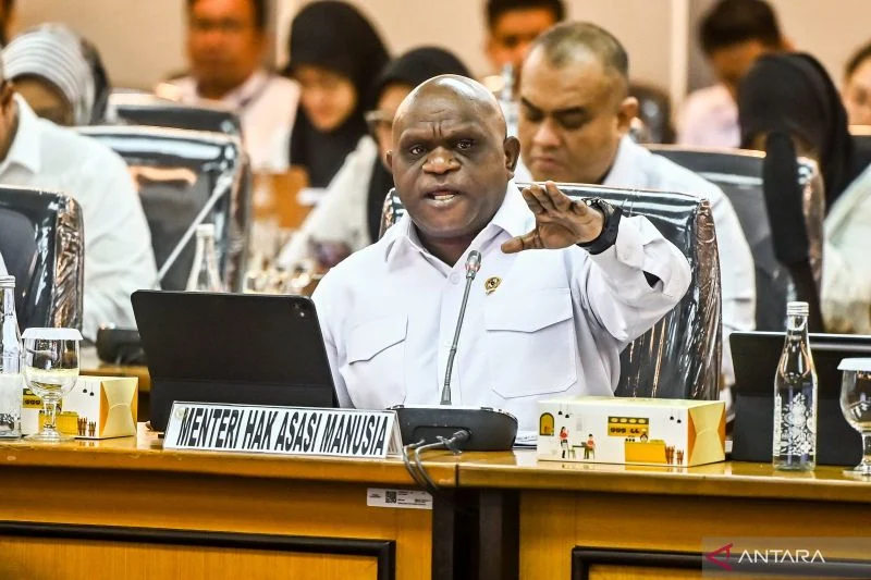 Pigai Tegaskan Pemerintah Tak Berhak Tentukan Status Pembela HAM, Kriteria Diserahkan pada Komisi Independen