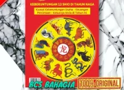 Ramalan Shio Besok: Apa yang Menanti Anda?