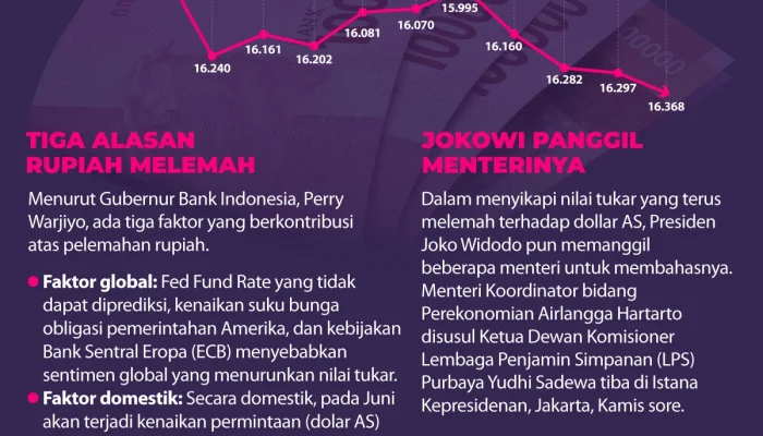 Rupiah Melemah, Apa yang Harus Dilakukan?