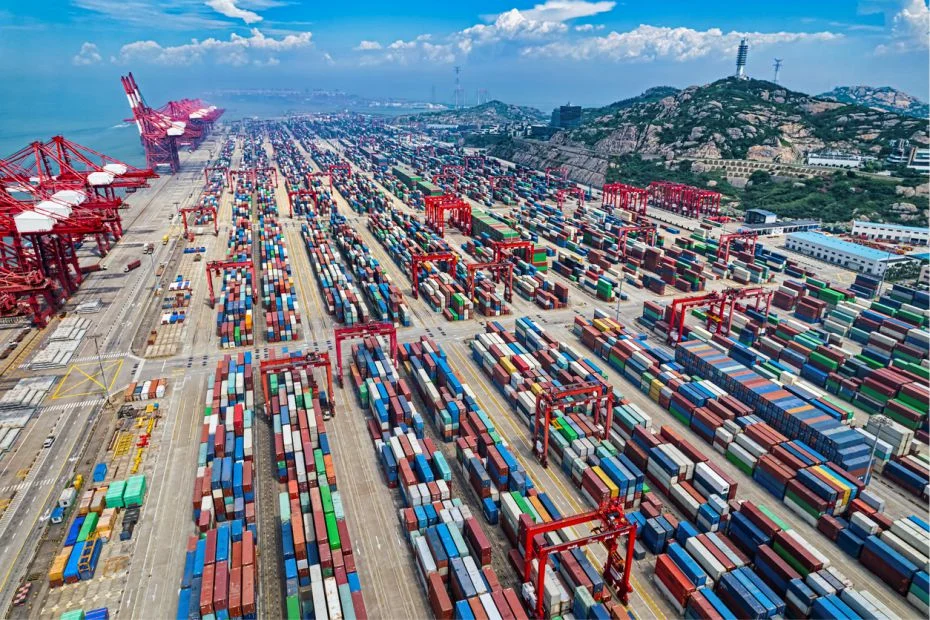 Shanghai Port: Pusat Industri dan Inovasi di Asia-Pasifik