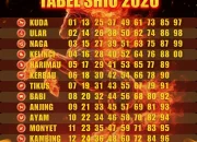 Shio Hoki 4 Mei 2026: Empat Shio Ini Siap Menyambut Kelancaran Besar