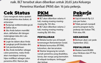 Subsidi BBM dan KPR: Antara Kemudahan dan Penyimpangan