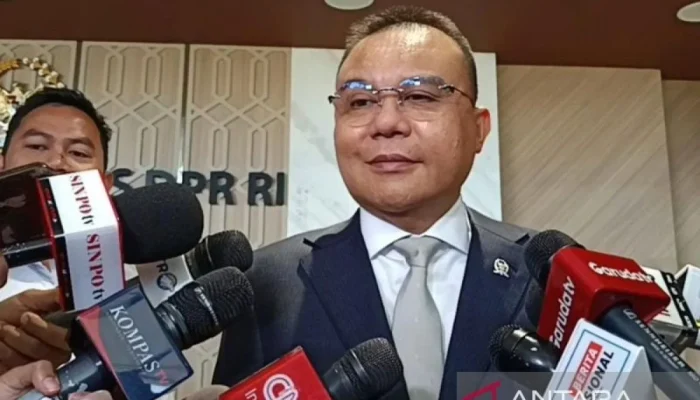 Sufmi Dasco Ahmad: Antara Hoaks dan Kritik Konstruktif