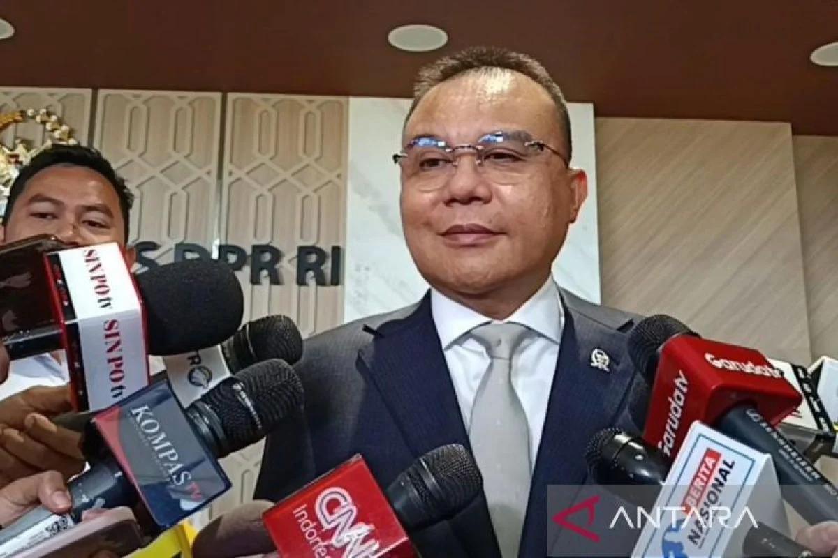 Sufmi Dasco Ahmad: Antara Hoaks dan Kritik Konstruktif