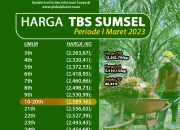 Teknologi dan Harga TBS Sawit: Dinamika Industri Sawit di Tengah Persaingan Global
