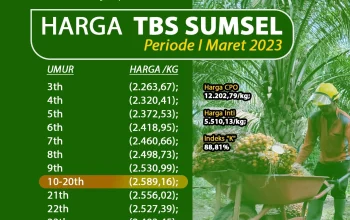 Teknologi dan Harga TBS Sawit: Dinamika Industri Sawit di Tengah Persaingan Global