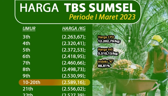 Teknologi dan Harga TBS Sawit: Dinamika Industri Sawit di Tengah Persaingan Global