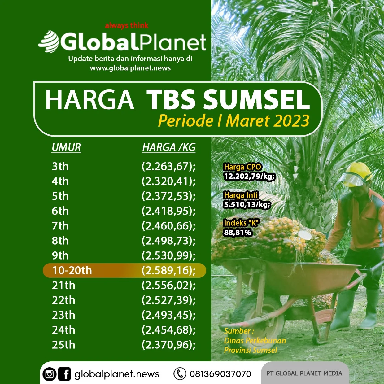 Teknologi dan Harga TBS Sawit: Dinamika Industri Sawit di Tengah Persaingan Global
