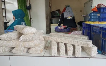 Tempe Menghadapi Tantangan di Tengah Pelemahan Rupiah