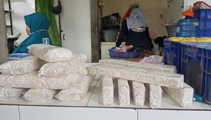Tempe Menghadapi Tantangan di Tengah Pelemahan Rupiah