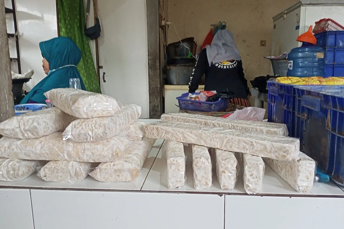 Tempe Menghadapi Tantangan di Tengah Pelemahan Rupiah