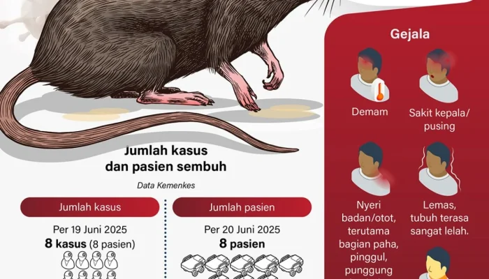 Thailand Tetapkan Virus Hanta sebagai Penyakit Menular Berbahaya