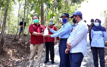 Tim Geolog UPN Veteran Yogyakarta Temukan Sumber Gas Penyebab Kebakaran di Seyegan