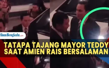 Viral Video Amien Rais Sindir Prabowo dan Teddy, Komdigi Angkat Tegas, Video Menghilang