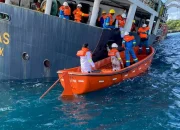 Wabah Hantavirus di Kapal MV Hondius: Kronologi dan Dampak