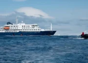 Wabah Hantavirus di Kapal Pesiar MV Hondius, 3 Orang Meninggal, Indonesia Siaga
