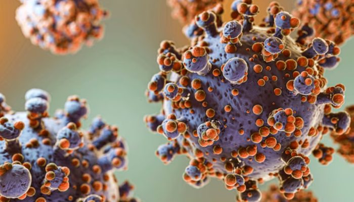 Wabah Hantavirus di Kapal Pesiar MV Hondius: Lima Kasus Terkonfirmasi, Tiga Penumpang Meninggal