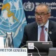 Wabah Hantavirus di Kapal Pesiar MV Hondius, WHO Peringatkan 12 Negara