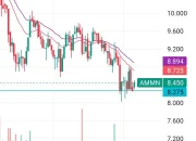 Amman Mineral Internasional: Analisis Saham dan Prediksi IHSG