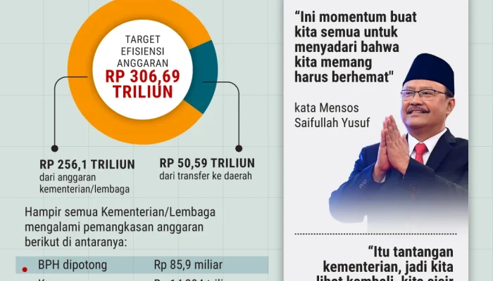 Anggaran Belanja Pemerintah: Antara Efisiensi dan Kritik