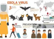 Apa yang Terjadi Jika Ebola Mendarat di Australia Besok?