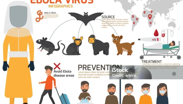 Apa yang Terjadi Jika Ebola Mendarat di Australia Besok?