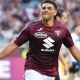 Che Adams Jadi Incaran Beberapa Klub, Scotland Siap Hadapi Brazil di Piala Dunia 2026