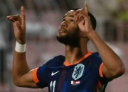 Cody Gakpo Siap Tampil di Piala Dunia 2026