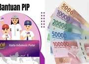 Dana Bantuan Pendidikan: PIP dan Penyalurannya