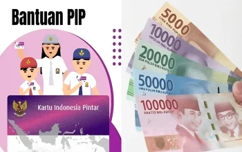 Dana Bantuan Pendidikan: PIP dan Penyalurannya