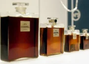 Ernest Nuamah dan May Rose: Kisah di Balik Parfum Legendaris CHANEL N°5 dan Pertandingan Ghana vs Colombia