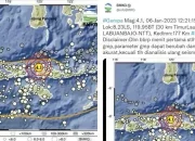 Gempa Bumi Terbaru di Indonesia: Labuanbajo Diguncang Gempa 5,3 Magnitudo