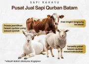 Harga Sapi Kurban 2026: Momentum Ekonomi Idul Adha di Indonesia