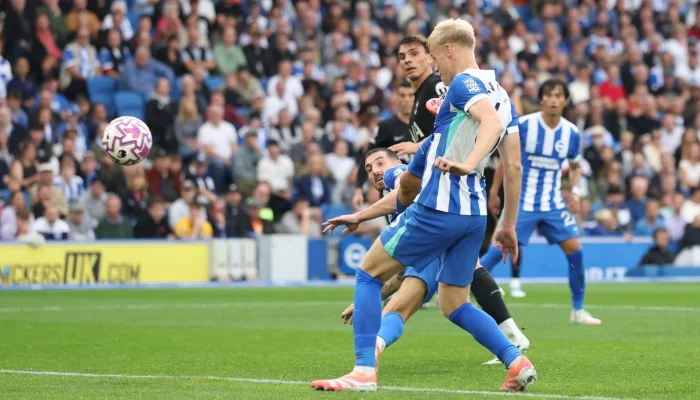 Jan Paul van Hecke dan Tottenham Hotspur: Membangun Masa Depan Bersama