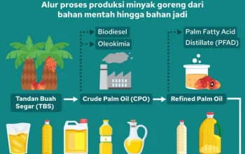 Kelapa Sawit Jadi Primadona, Dari Minyak Goreng Hingga Bolu Khas