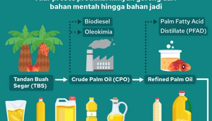 Kelapa Sawit Jadi Primadona, Dari Minyak Goreng Hingga Bolu Khas