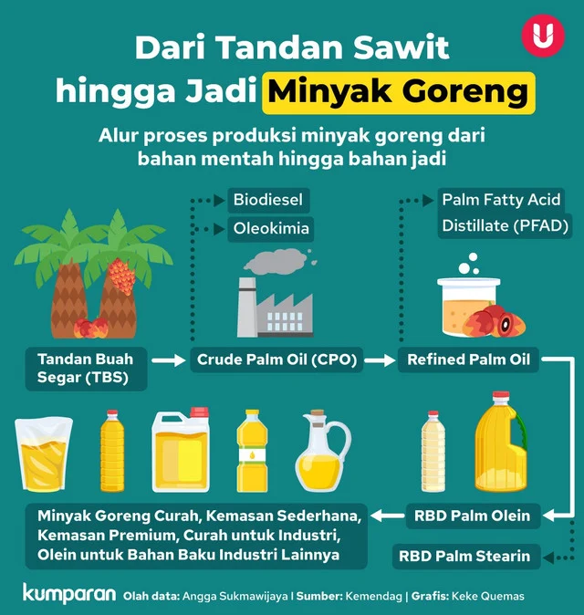 Kelapa Sawit Jadi Primadona, Dari Minyak Goreng Hingga Bolu Khas