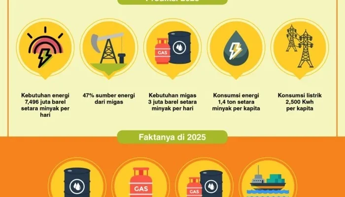 Krisis Energi Global: Indonesia Berupaya Meningkatkan Ketahanan Energi