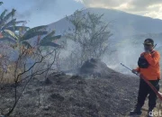Kuningan Menghadapi Tantangan: Kebakaran, Kukang Jawa, dan Gunung Ciremai