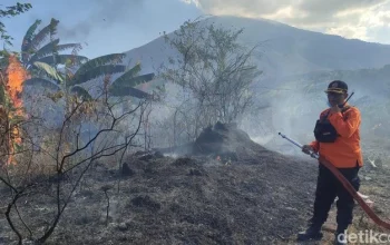 Kuningan Menghadapi Tantangan: Kebakaran, Kukang Jawa, dan Gunung Ciremai