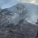 Kuningan Menghadapi Tantangan: Kebakaran, Kukang Jawa, dan Gunung Ciremai