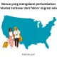 Lahti vs Turun dan Fenomena Migrasi ke Amerika