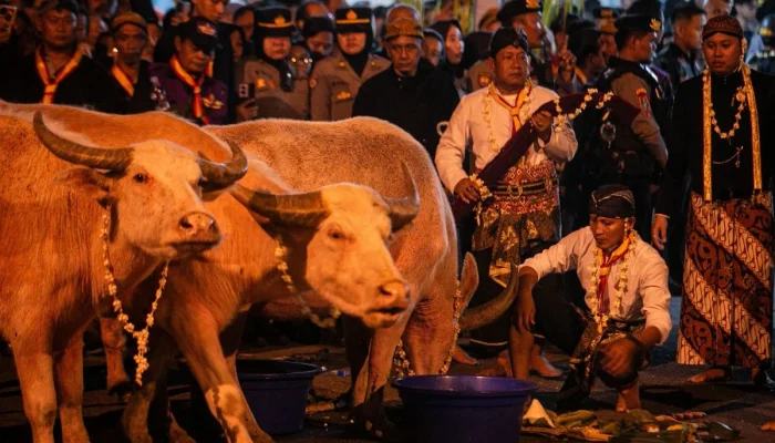 Malam 1 Suro 2026: Tradisi Sakral dan Persiapan Kirab di Solo