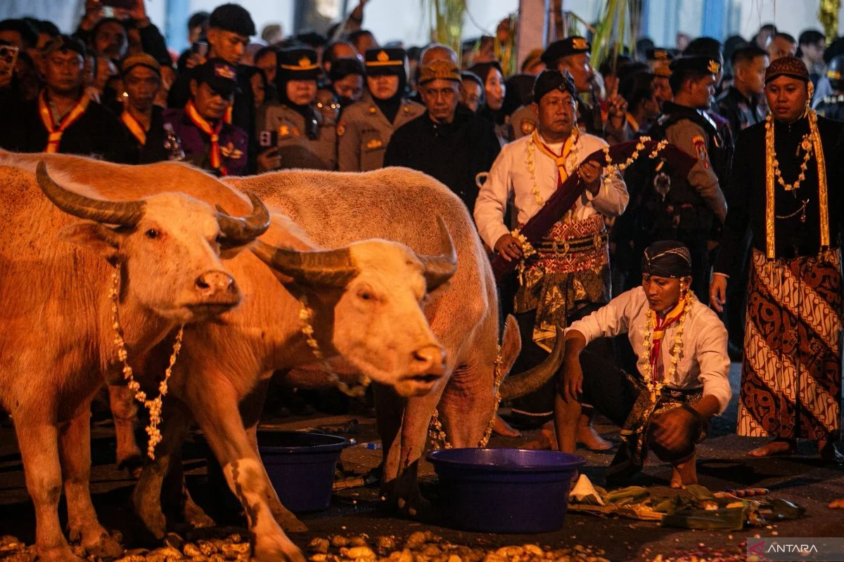 Malam 1 Suro 2026: Tradisi Sakral dan Persiapan Kirab di Solo