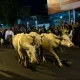 Malam 1 Suro: Tradisi dan Makna di Balik Perayaan Spiritual Jawa