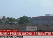 Masa Pensiun Jokowi dan Aktivitas Produktif di Masa Pensiun