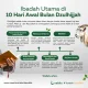 Mengenal 10 Dzulhijjah: Amalan, Fadhilah, dan Hikmahnya